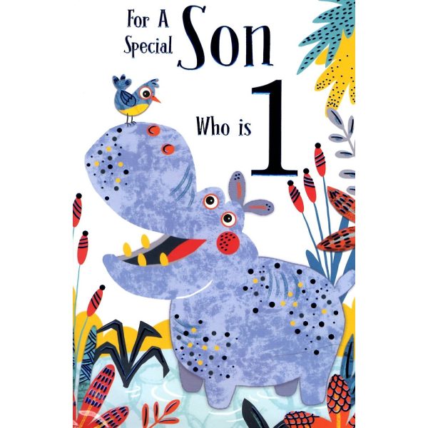 Kingfisher - Age 1 Son - Code 75 - 6pk - FF011/A*