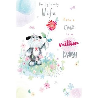 King.F - Lovely Wife  - C75 - 6pk - CAB001*