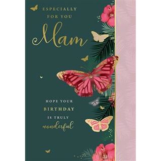 Kingfisher - MAM - AA037