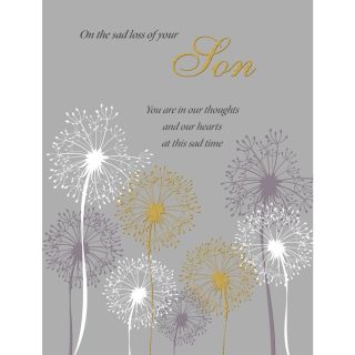 Regal - Loss Of Son - Code 50 - 6pk - C80807*