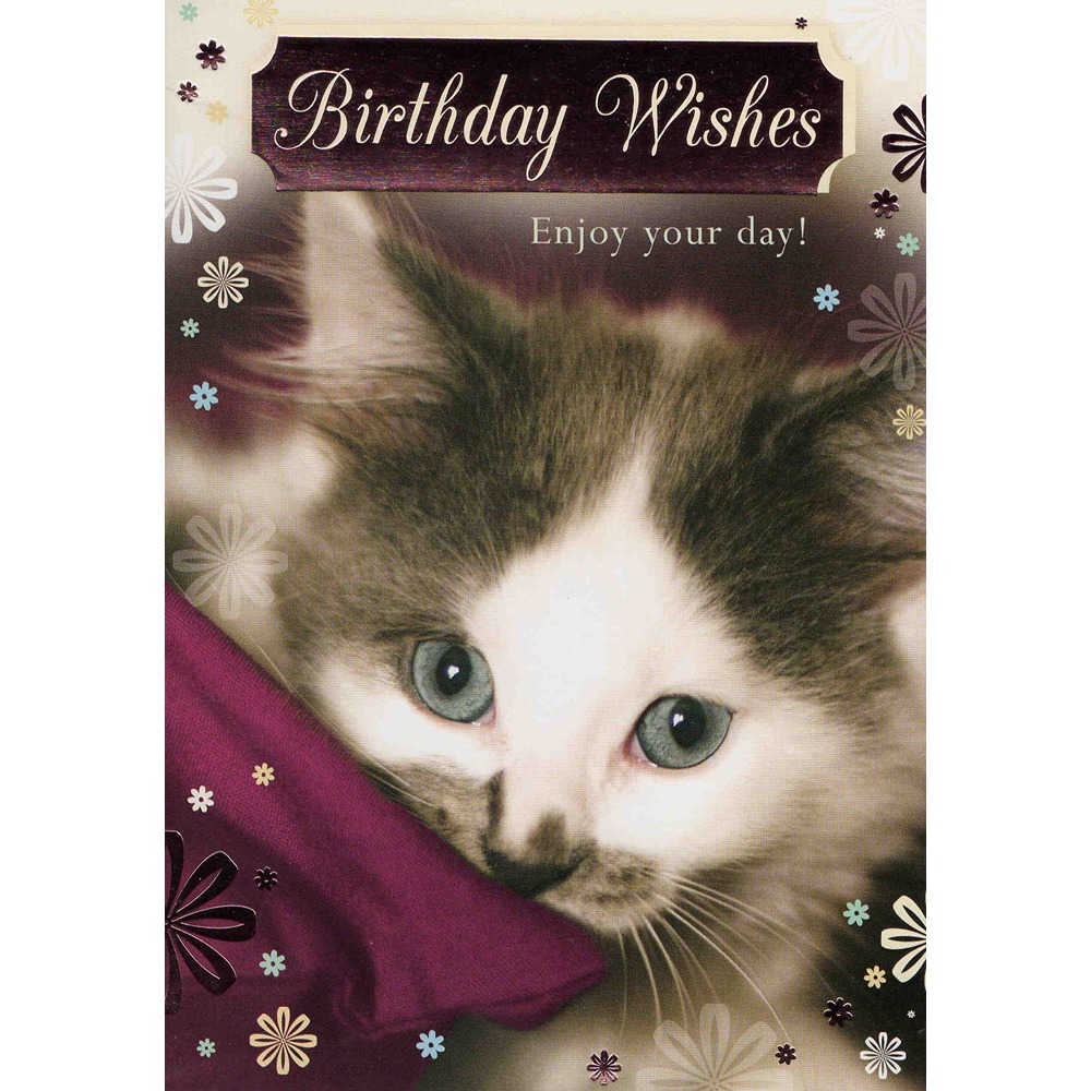 Birthday - C50 - 12pk - 2 Designs - FBH50-9005