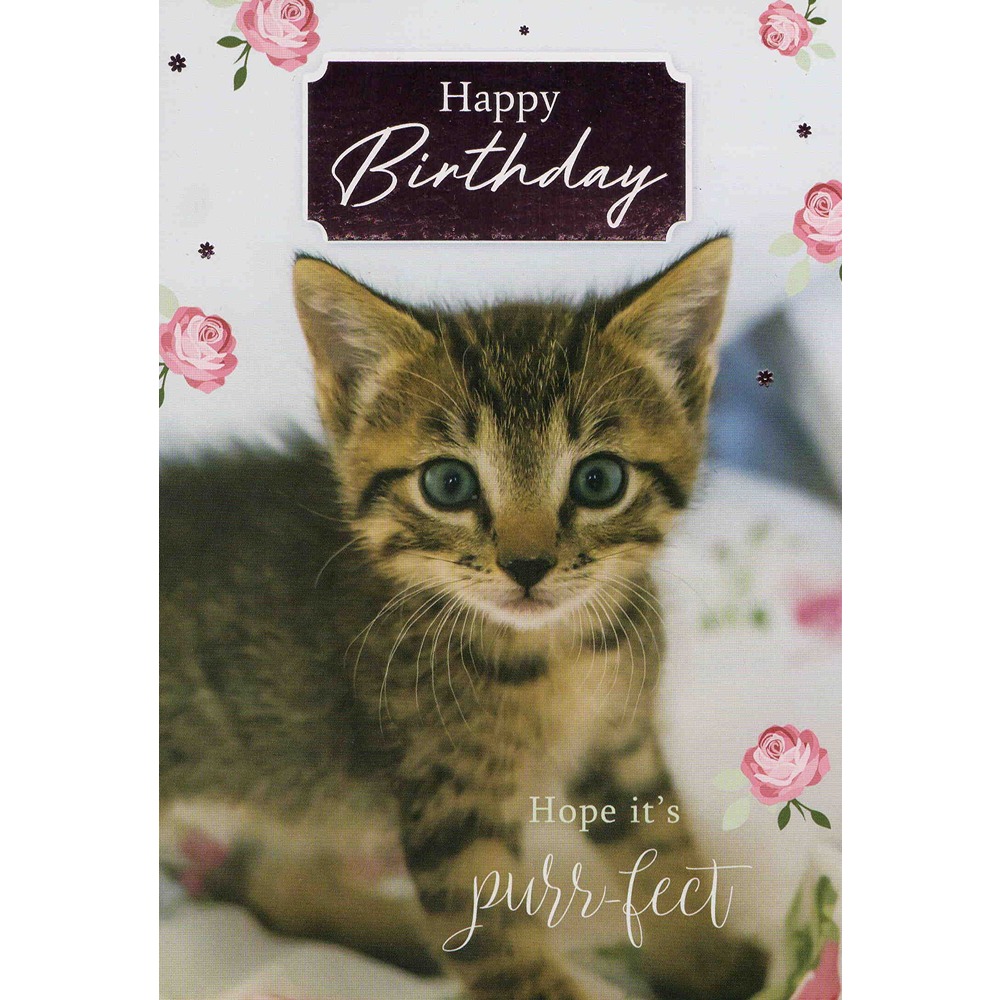 Birthday - C50 - 12pk - 2 Designs - FBH50-9005 - Image 2