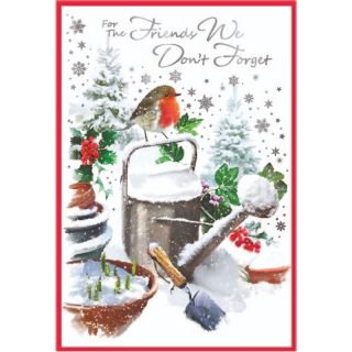 Simon Elvin - Friends We Don't Forget ROBINS C50 - 32220FRIENDSWDF *