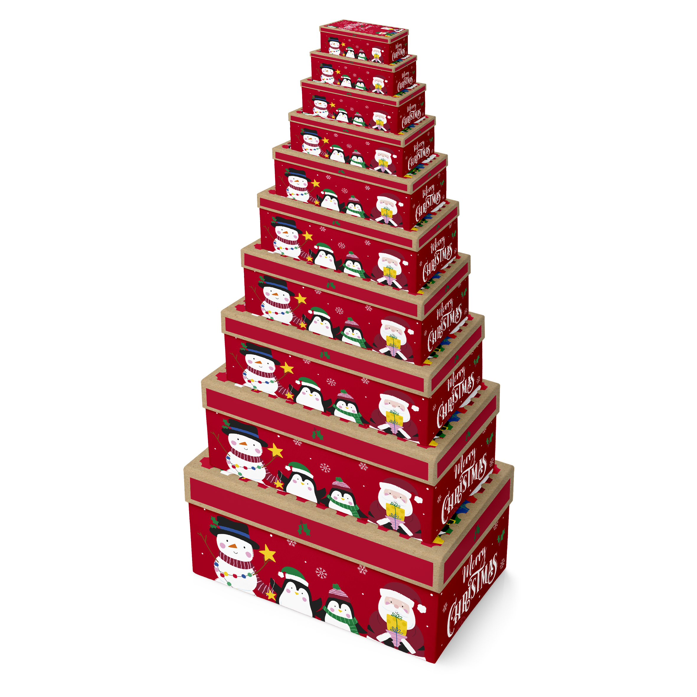 10pc Oblong Box Xmas Delivery - X-35921-BXC