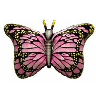 Flexmetal 14" Royal Butterfly Pink/Blue Flat*