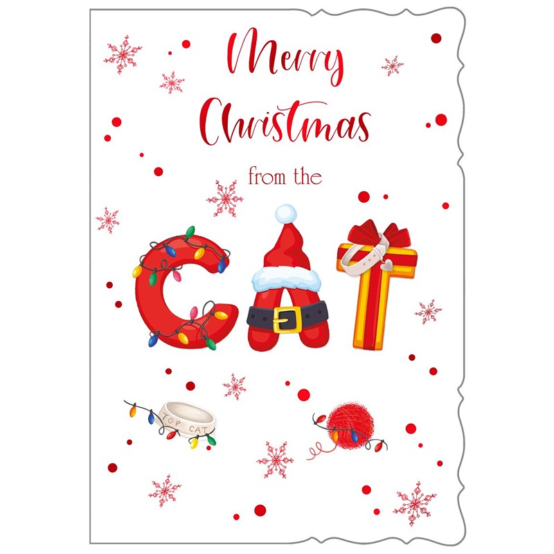 Out The Blue - FROM THE CAT - C50 6Pack - X7057-2