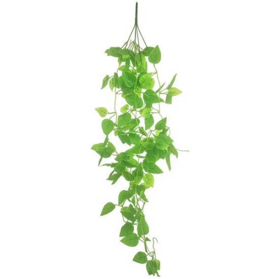 100cm TRAILING POTHOS BUSH GREEN*