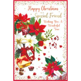 Simon Elvin - Special Friend TRAD FEMALE C75 - 32242SPECIAL F *