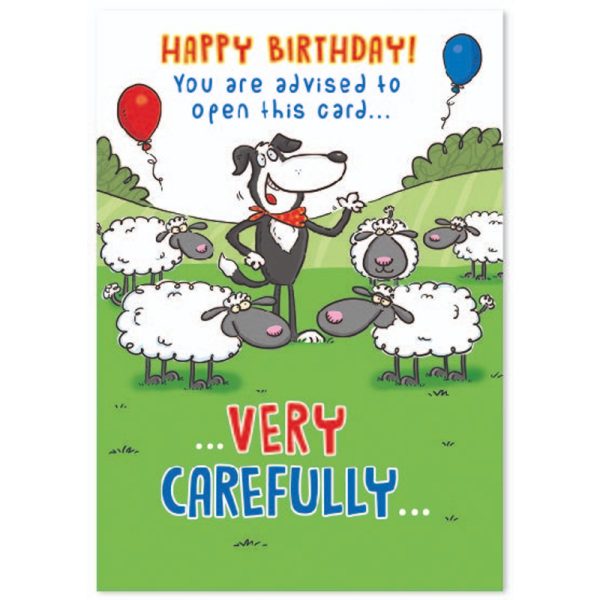 Simon Elvin -Birthday Humour Cards - 32479-11