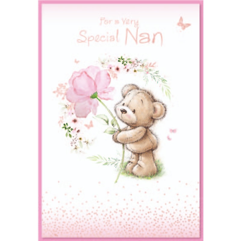 Simon Elvin - Special Nan - 6pk - Code 50 - SE32617