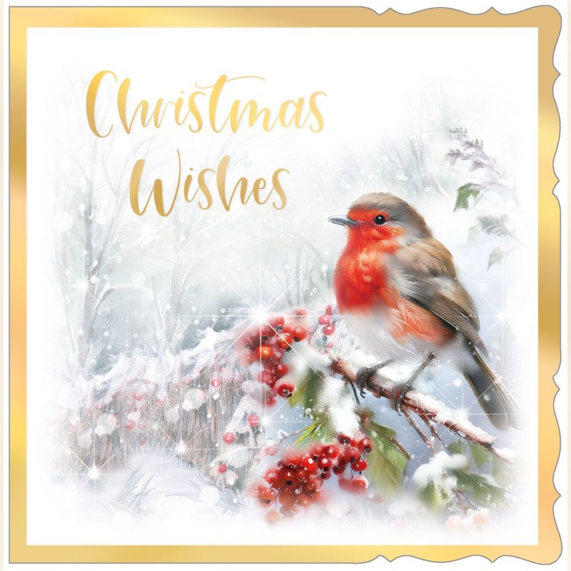 SQUARE - 12in Premium Cards - Winter Robin *