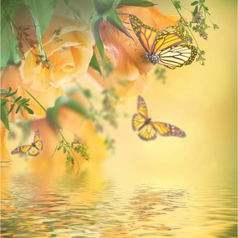 Kingfisher - Blank Cards - Code 50 - MBL004