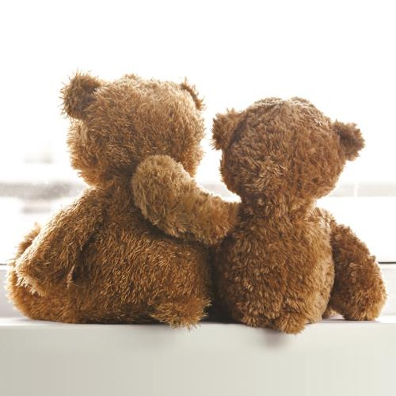 Kingfisher - Cuddly Bears Blank Cards - Code 50 - 6pk - MBL054