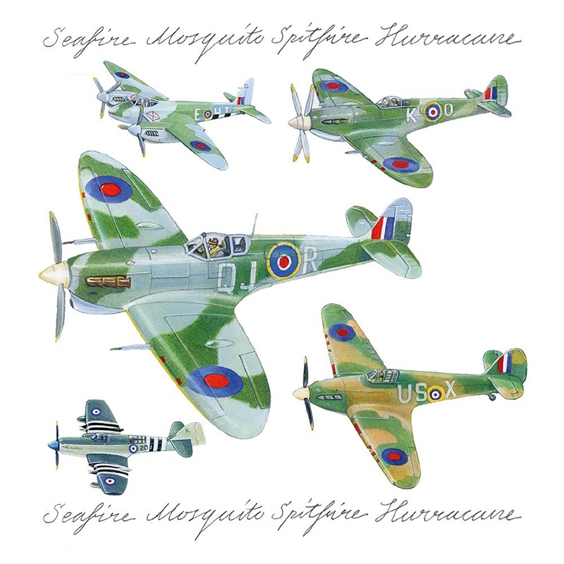 Kingfisher - Planes - Blank Cards - Code 60 - RC001