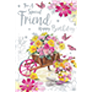 Kingfisher - Special Friend Female - Code 50 - 6pk - AA057