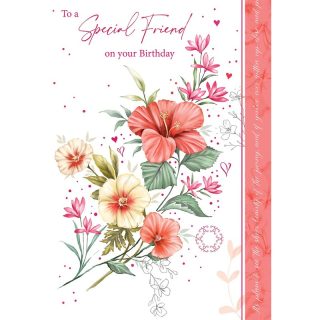 OTB - Special Friend  - Code 50 - 6pk - OTB18026