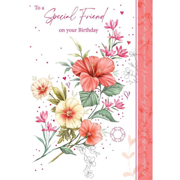 OTB - Special Friend  - Code 50 - 6pk - OTB18026