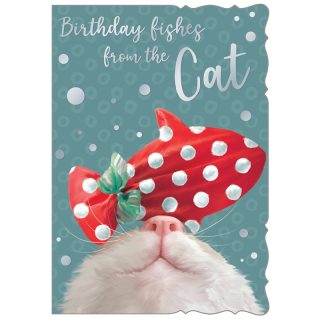 OTB - From The Cat - Code 50 - 6PK - OTB-17632