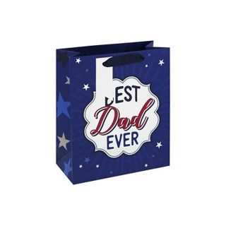 Eurowrap - Best Dad Ever Medium Bag (12pk) - 36599-3C