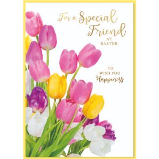 Simon Elvin - Special Friend - 6pk - Code G - ESE32569