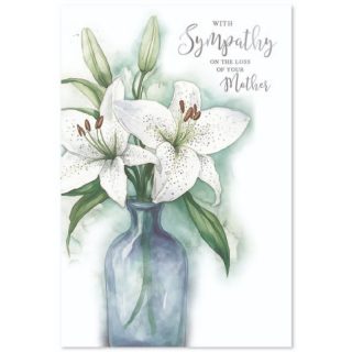 Simon Elvin - Loss Of Mother - 6pk - Code G - SE32746