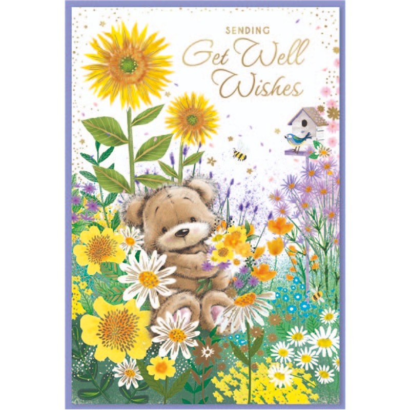Simon Elvin - Get Well Wishes - 6pk - Code G - SE32787