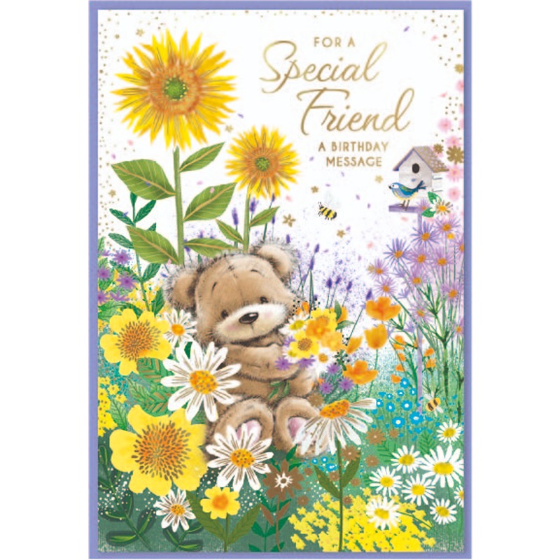 Simon Elvin - Special Friend - Code G - 6pk - SE32787