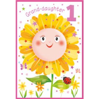 Simon Elvin - Grand-Daughter Age 1 - 6pk - Code G - SE32796