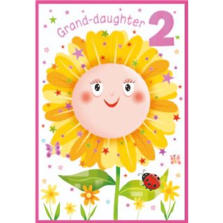 Simon Elvin - Great-Daughter Age 2 - Code G - 6pk - SE32796