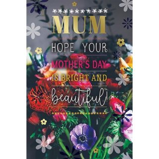 Kingfisher - Mum Mother's Day - Code 75 - 6pk - SPM59