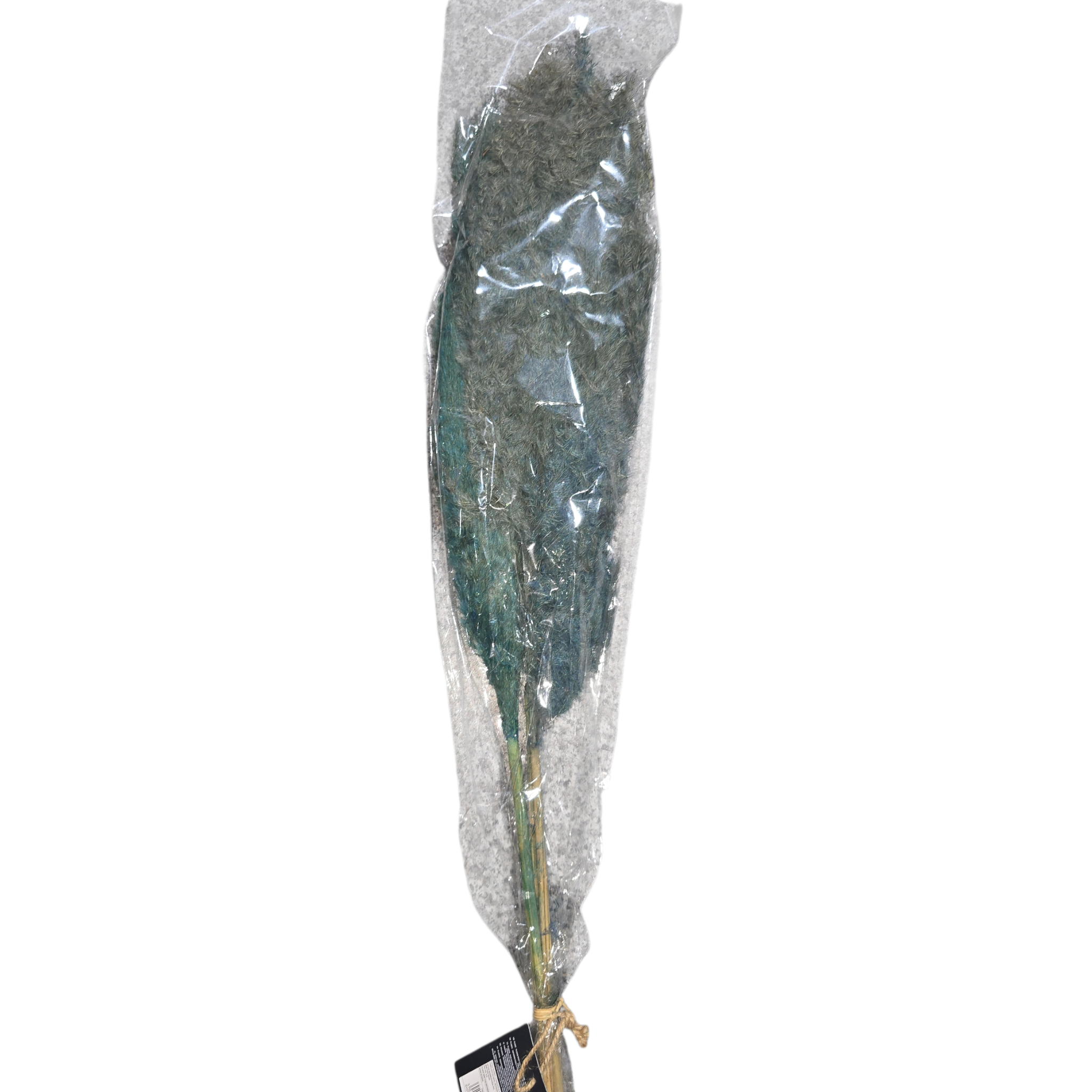 David Fisch - Pampas Grass Brown - 75cm - 3pk - SY0118