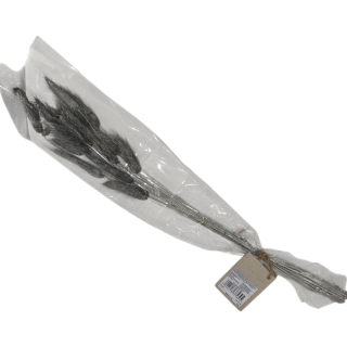 PK14 COLOURED DRIED LEGARUS - SILVER - NI1065