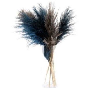 Pk3 Serenity Pampas Grass - sr0056