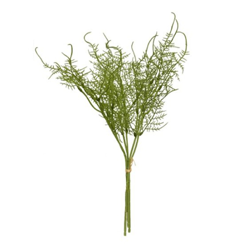 40cm ASPARAGUS FERN BUNDLE GREEN