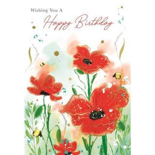 Kingfisher - OPEN FEMALE - Code 50 - 6Pack - LL030