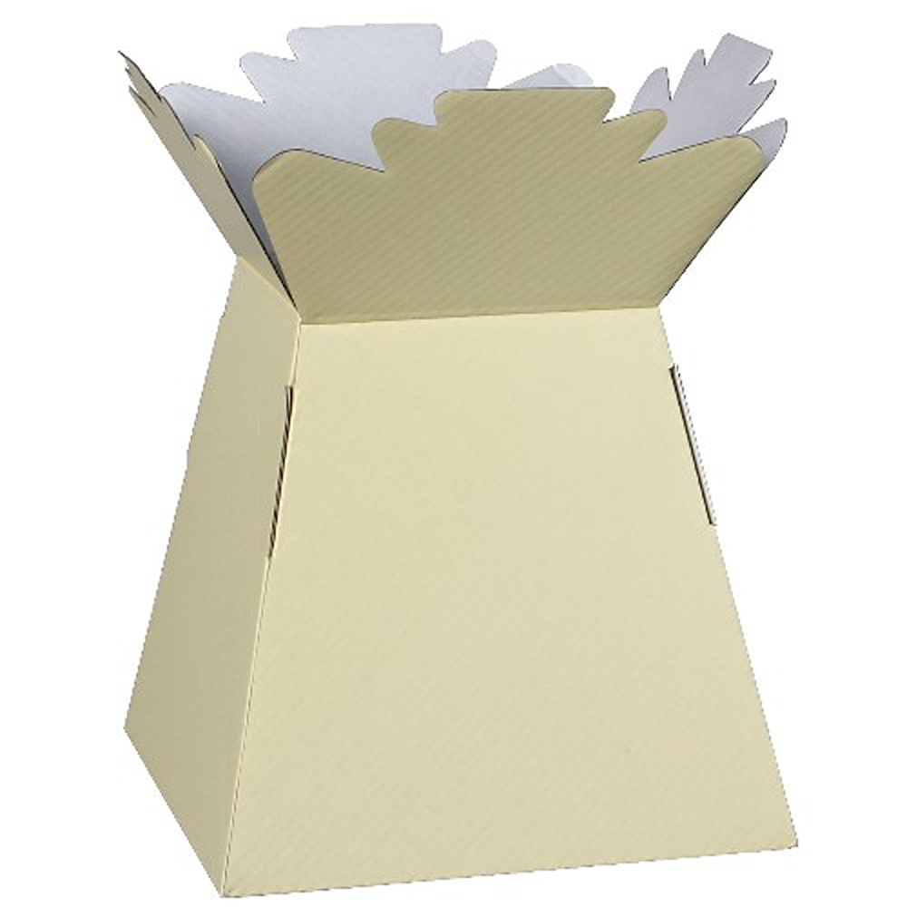 BOUQUET BOX GLOSSY IVORY - 894158