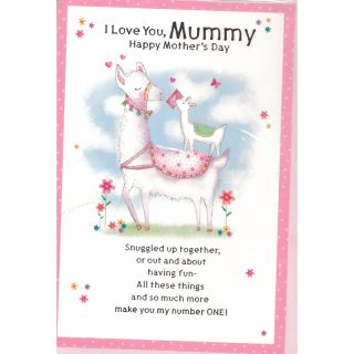 Simon Elvin - Mummy - Code 50 - 6 Pack - MSE25897