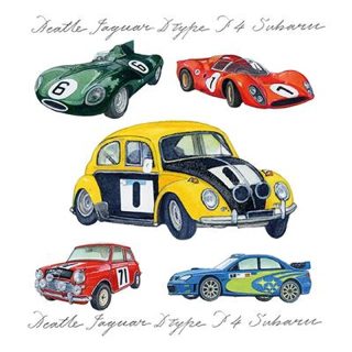 Kingfisher - Car Design - Blank - RC009