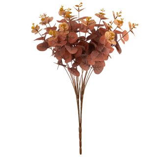 Eucalyptus Bush Brown (16 Heads) - 502259