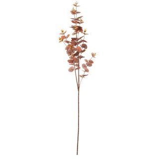 Eucalyptus Stem Brown - 502334