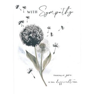 Kingfisher - SYMPATHY - Code 50 - Y24021