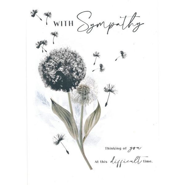 Kingfisher - SYMPATHY - Code 50 - Y24021