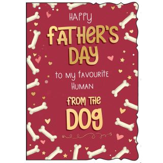From the Dog Modern Male - C50 - F5012 - Out Of the Blue