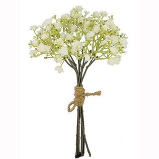 Cream - 29cm GYP BUNDLE DRY COLOUR CREAM - 000422