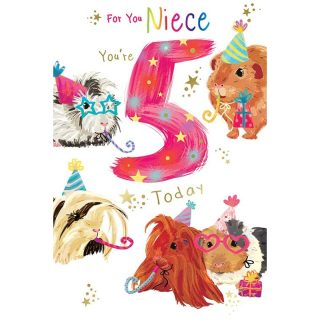 Niece Age 5 - Code 75 - 6pk - FF093