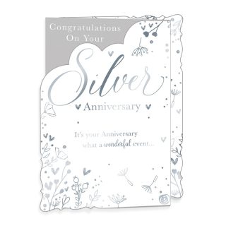 OTB - Silver Anniversary - Code 50 - 6pk - WP19029