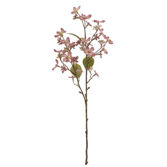 63cm Forget-Me-Not Spray Dry Colour Pink - 023438