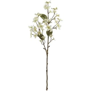 63cm Forget-Me-Not Pray Dry Colour Cream - 023452