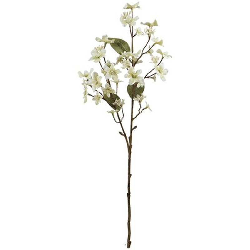 63cm Forget-Me-Not Pray Dry Colour Cream - 023452