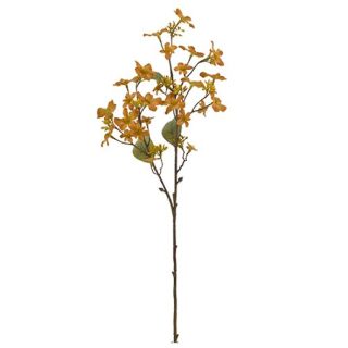 63cm Forget-Me-Not Pray Dry Colour Orange - 023506